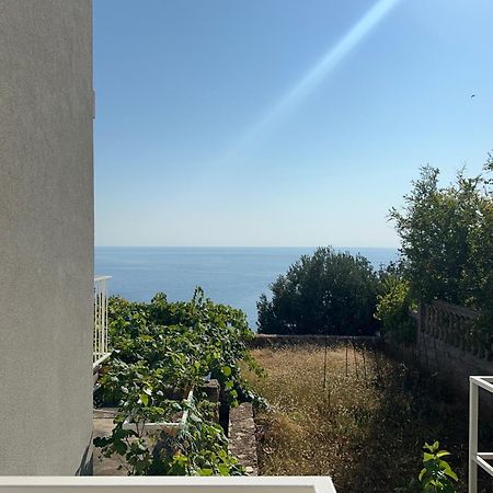 Apartments Blue Horizon ツァヴタット エクステリア 写真